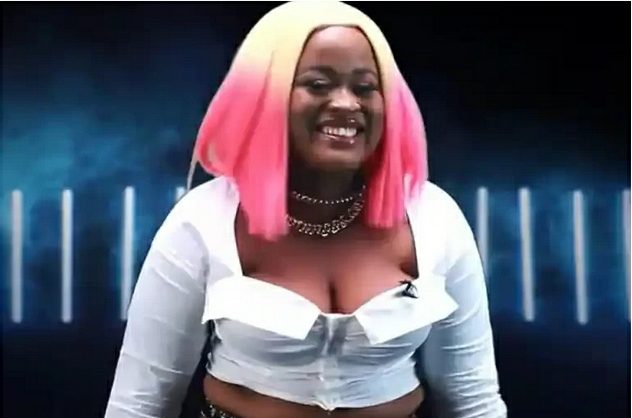 Amaka BBNaija Biography, Wiki, Instagram, Age, Real Name, Boyfriend, Tribe, State, Net Worth, Pictures