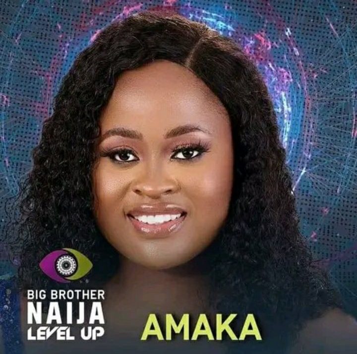 Amaka BBNaija Biography, Wiki, Instagram, Age, Real Name, Boyfriend, Tribe, State, Net Worth, Pictures