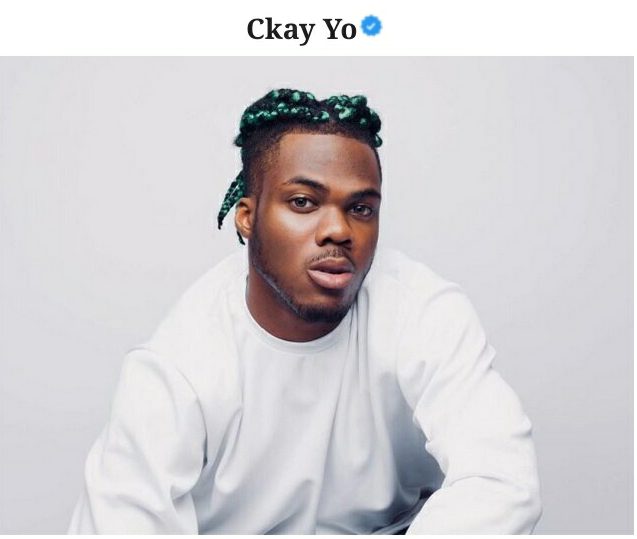 Ckay Yo Biography: Songs, About, Girlfriend, Net Worth, Age, Wikipedia, Record Label, EP, Albums, Charts, Love Nwantiti, Emiliana