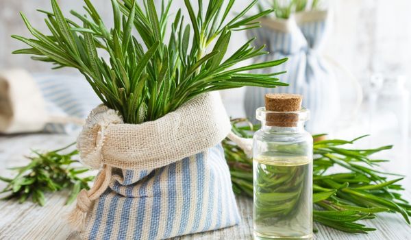 Rosemary Water for Hair Growth Pros Cons  Recipe