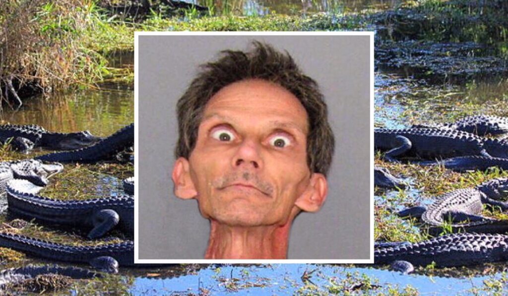Florida man arrested for raping alligators