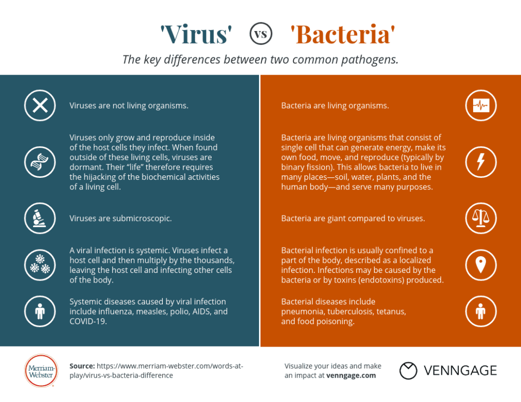How are viruses different from bacteria apex