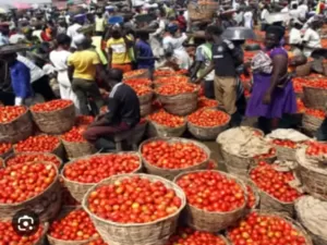 Famous markets in Lagos and why they are popular 